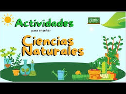 Transformando la Enseñanza de Ciencias Naturales para Niños a través de la  Interacción | Actualizado mayo 2025